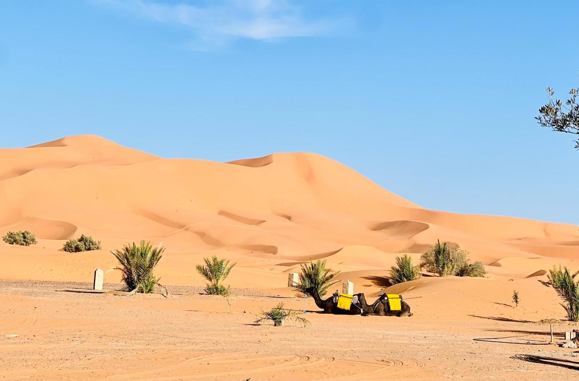 Hotel Camping Les Roses Des Dunes & Piscine مرزوكة المظهر الخارجي الصورة