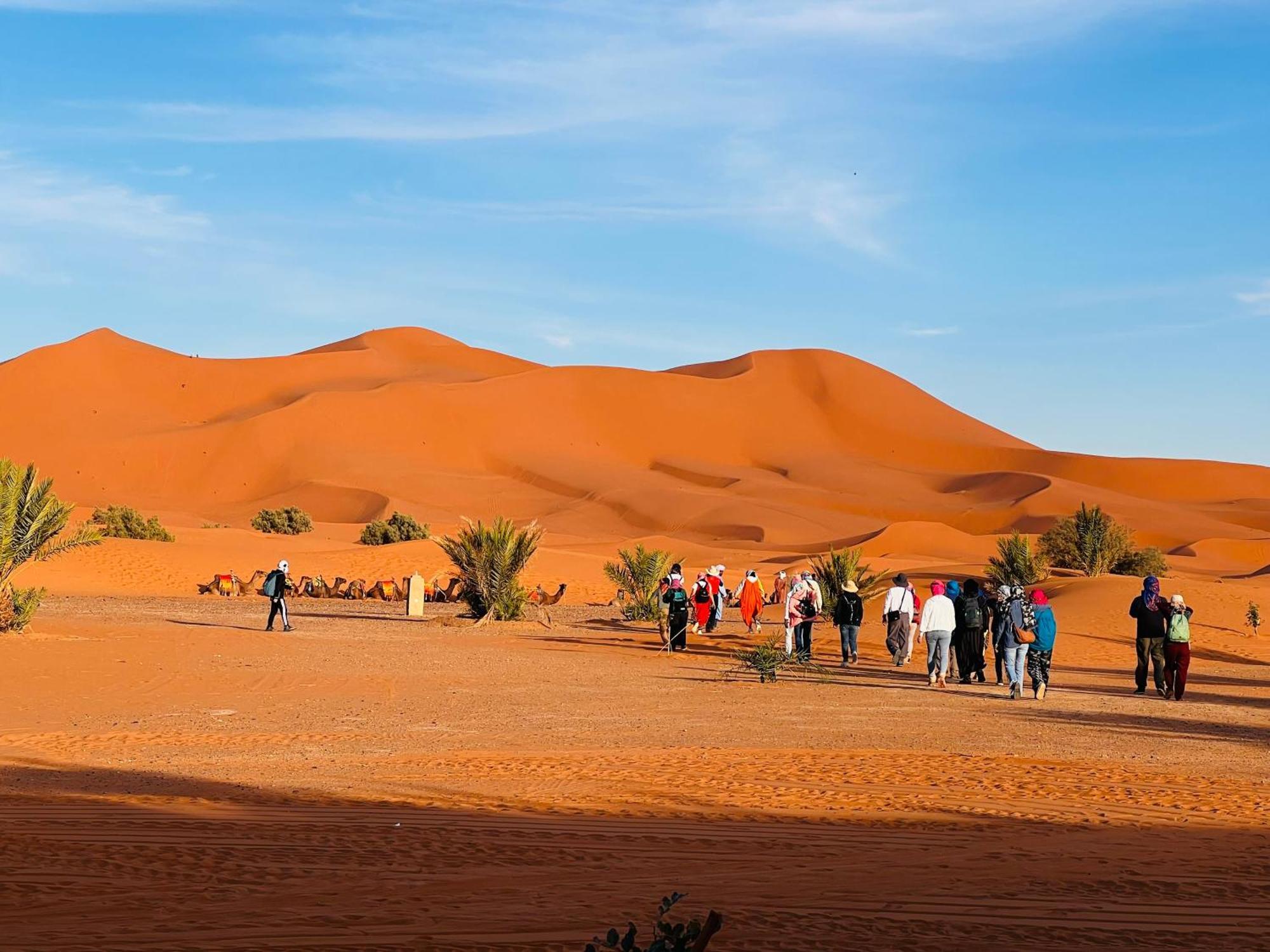 Hotel Camping Les Roses Des Dunes & Piscine مرزوكة المظهر الخارجي الصورة